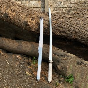 Barbarian Sword