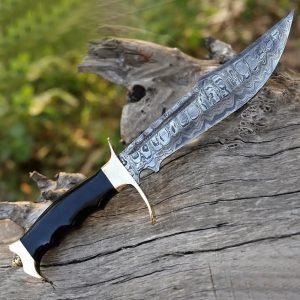 Premium Hand-Forged Damascus Bowie Knife with Black Handle & Polished Brass Guard