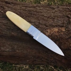 Needle Point Hunting Knife D2 Steel Camel Bone Handle